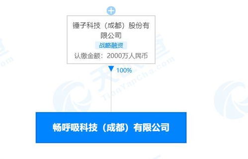 計算機軟件技術(shù)開發(fā) 現(xiàn)狀、挑戰(zhàn)與未來趨勢