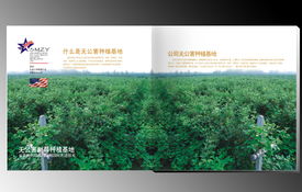 賽尚品牌設計 河南鄭州專業(yè)品牌策劃與軟件開發(fā)服務